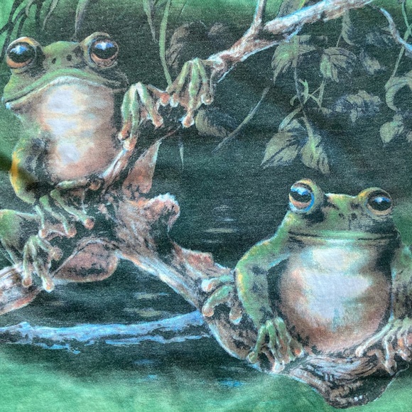 Super cool vintage The Mountain tie-dyed frogs t-shirt. - Picture 3 of 4